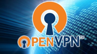 OpenVPN serious vulnerabilities