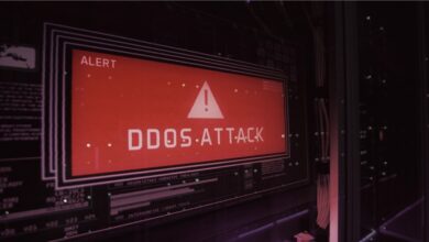 record DDoS attack