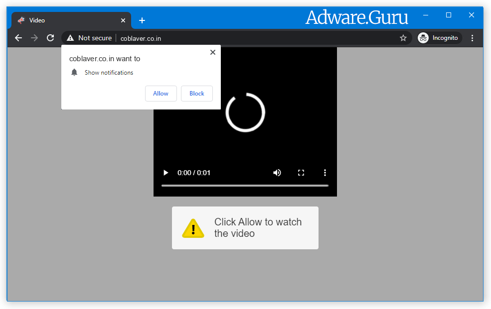 Browser is redirected to Coblaver.co.in